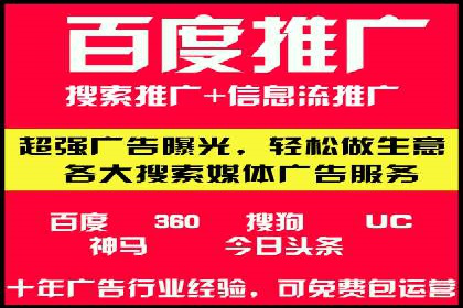 热门SEM运营公司案例深度剖析